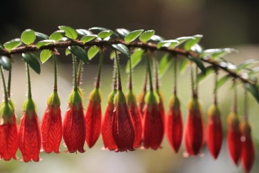 佛山高明区4私人快速借钱网，轻松解决资金难题