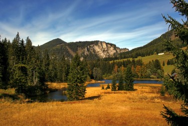 佛山高明区4民间私贷攻略：揭秘低成本借贷的秘密