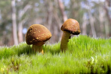 佛山高明区4私人老板放款：轻松融资的秘密通道